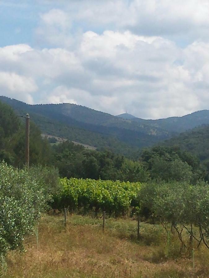 Les Anes De Petit Jean Hotell Pierrefeu-du-Var Eksteriør bilde
